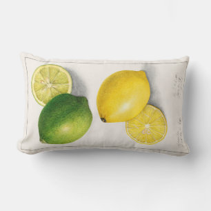 Vintage Citrus Lumbar Pillow