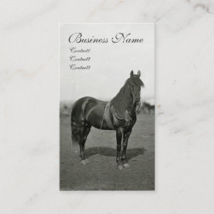 Vintage Civil War Union Horse Business Cards
