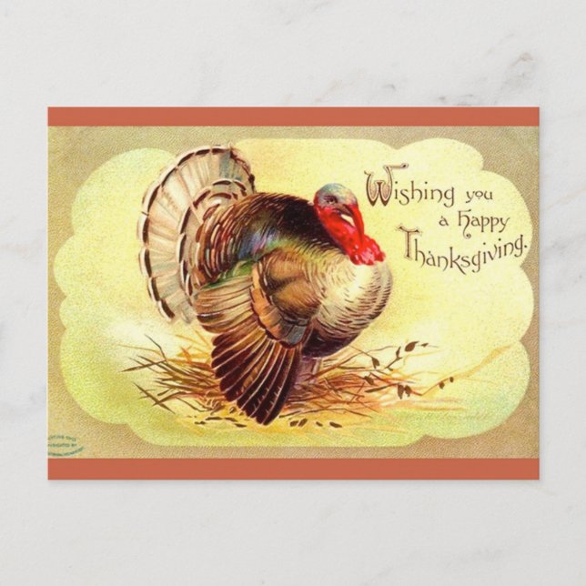 Vintage Clapsaddle Turkey Happy Thanksgiving Holiday Postcard (Front)