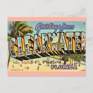 Vintage Clearwater Florida Postcard