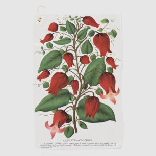 Vintage Clematis Coccinea Red Floral Art Golf Towel
