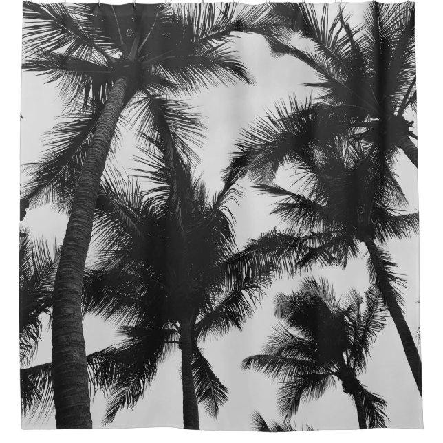 VINTAGE COCONUT PALM TREE (Front)