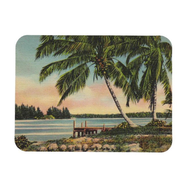 Vintage Coconut Palm Tree Tropical Breeze Sunset Magnet (Horizontal)