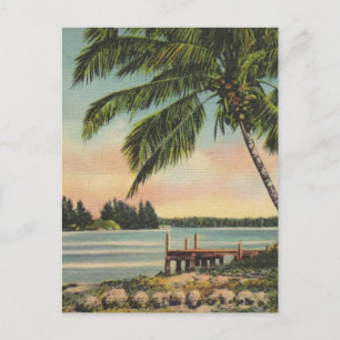 Vintage Coconut Palm Tree Tropical Breeze Sunset Postcard