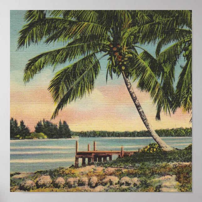 Vintage Coconut Palm Tree Tropical Breeze Sunset Poster (Front)