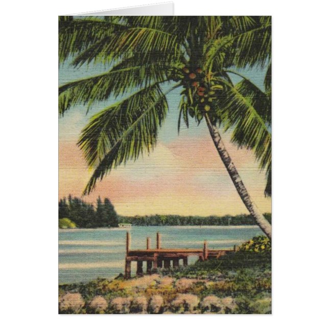 Vintage Coconut Palms Tropical Breeze Sunset (Front)