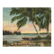 Vintage Coconut Palms Tropical Breeze Sunset