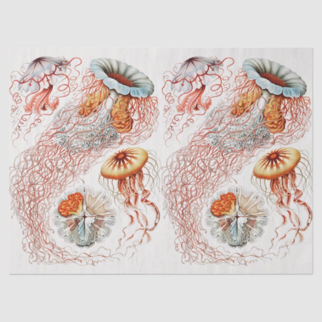 Vintage Collage Jellyfish Pattern Decoupage Tissue Paper (Front)