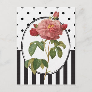Vintage Collage Pink Rose Botanical Print Postcard