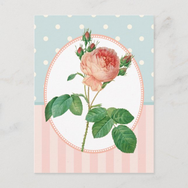 Vintage Collage Pink Rose Botanical Print Postcard (Front)