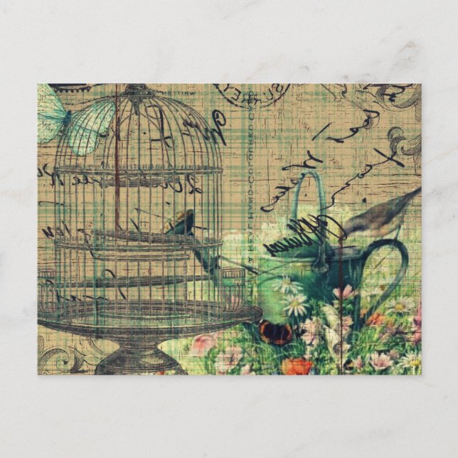 Vintage Collage w/Bird & Birdcage Garden Postcard (Front)