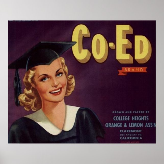 Vintage College Co-Ed Graduation Woman Poster (Front)