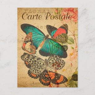 Vintage Colourful butterflies and Moth French Postcard