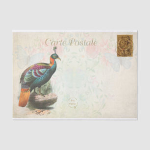 Vintage Colourful Exotic Bird Floral French Tissue Paper