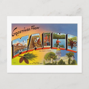 Vintage Colourful Greetings From Maine Postcard