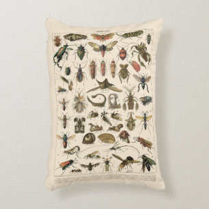 Vintage Colourful Insects Entomology Taxonomy Decorative Pillow