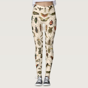 Vintage Colourful Insects Entomology Taxonomy Leggings