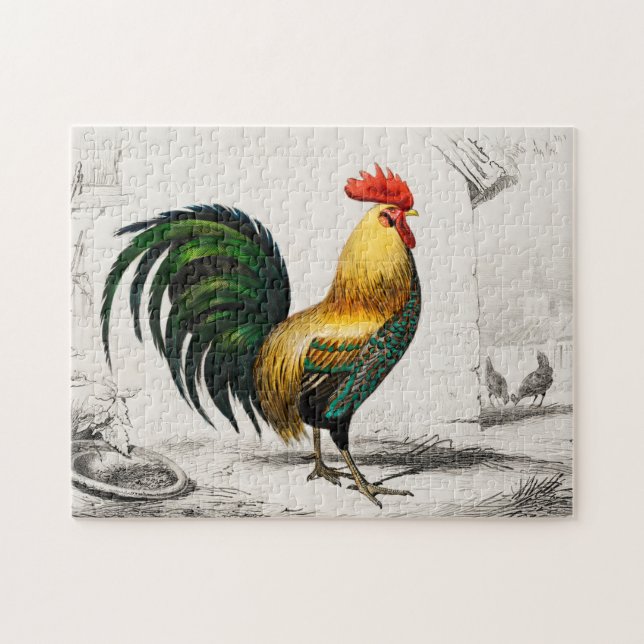 Vintage Colourful Rooster Illustration Art Jigsaw Puzzle (Horizontal)