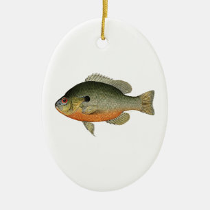 Vintage Colourful Sunfish Illustration Ceramic Ornament