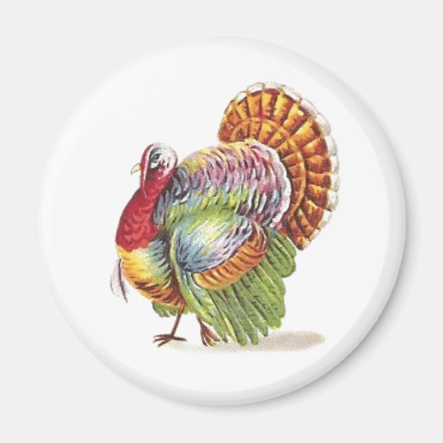 Vintage Colourful Turkey Magnet (Front)