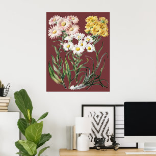 Vintage Colourful Wildflower Botanical Floral Art Poster