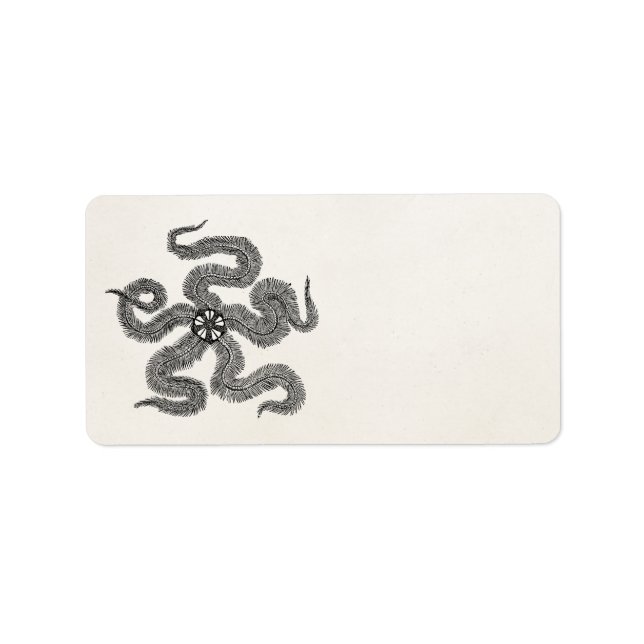 Vintage Common Brittle Star Personalized Template Label (Front)