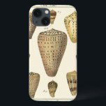 Vintage Cone Shells iPhone 13 Case<br><div class="desc">Artist Denis Diderot is talented and known for his great sea life images. In this vivid image, he captures these crackled cone Conch seashells in their most natural style. Conches are often crackled like these four seashells and in a sepia looking tone. Get your seashell product today and you can...</div>