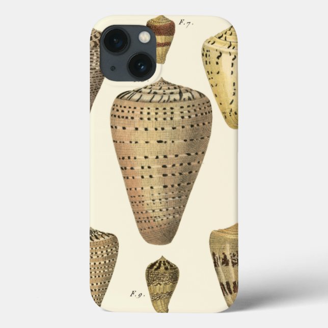 Vintage Cone Shells Case-Mate iPhone Case (Back)