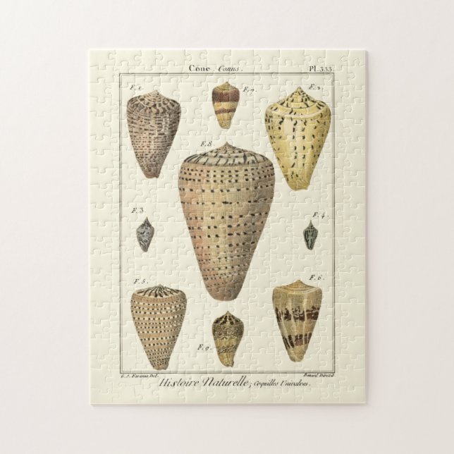 Vintage Cone Shells Jigsaw Puzzle (Vertical)