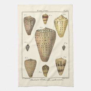 Vintage Cone Shells Kitchen Towel