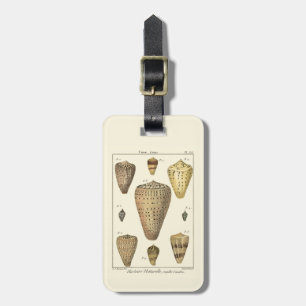 Vintage Cone Shells Luggage Tag