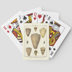 Vintage Cone Shells Playing Cards