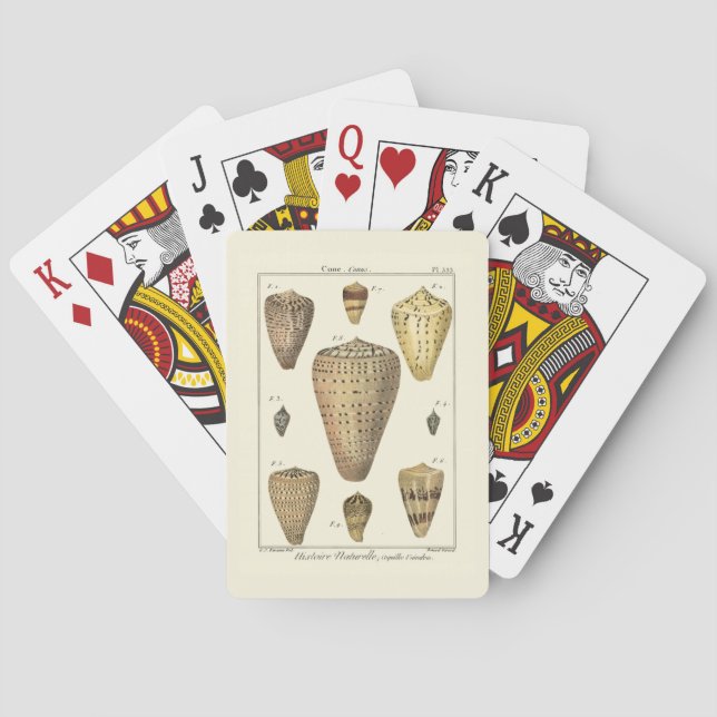 Vintage Cone Shells Playing Cards (Back)