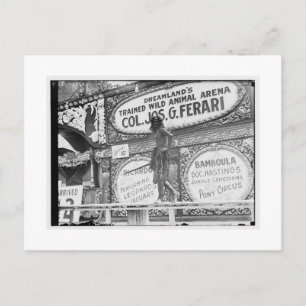 Vintage Coney Island, Dreamland Postcard