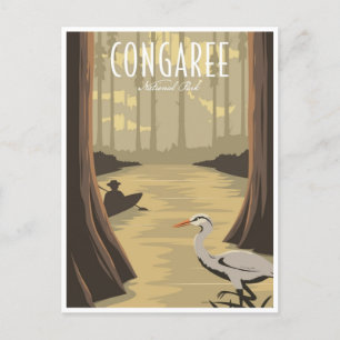 vintage Congaree National Park South Carolina Postcard
