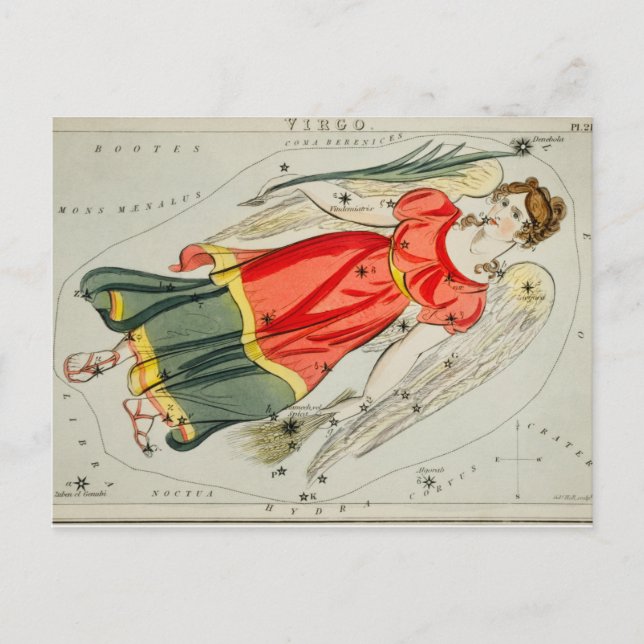 Vintage Constellation Illustration Postcard (Front)