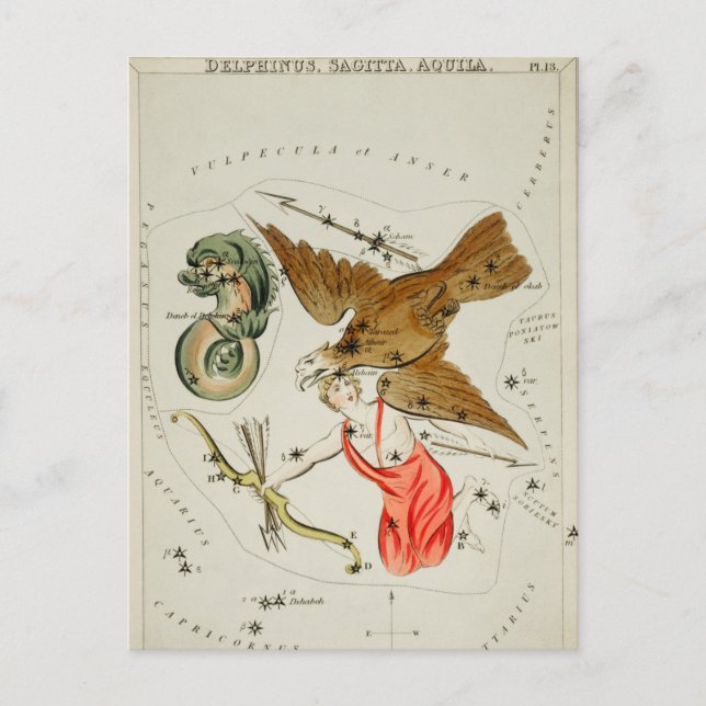Vintage Constellation Illustration Postcard (Front)