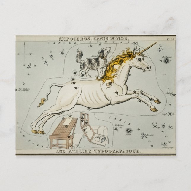 Vintage Constellation Illustration Postcard (Front)
