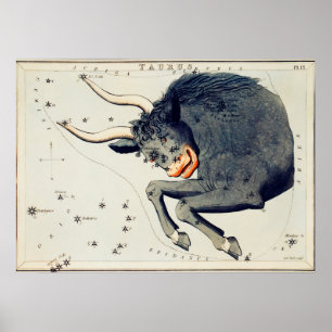 Vintage Constellation Illustration Poster