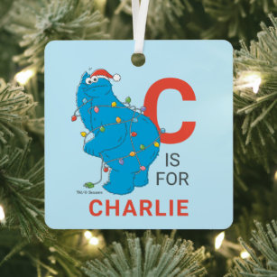 Vintage Cookie Monster   Personalized Name & Photo Metal Ornament
