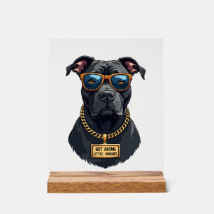 Vintage Cool Pitbull in Sunglasses with Gold Chain Acrylic Sign