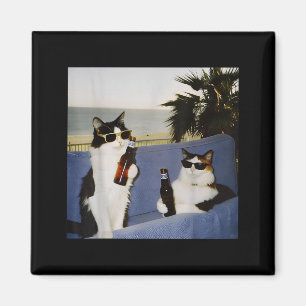 Vintage Cool Sungles Cat Drinking Beer Cat Meme Ca Magnet