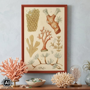 Vintage Coral Animals, Science Textbook Biology Poster