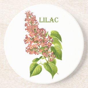Vintage Coral Lilac Spring Garden Flower Coaster