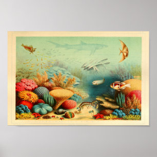Vintage Coral Reef Color Ernst Haeckel Art Print