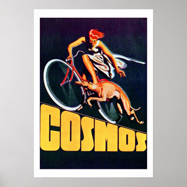 Vintage Cosmos Bicycle Poster (Front)