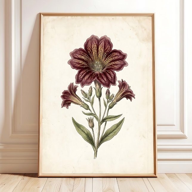 Vintage Cottage Botanical Art Print (Creator Uploaded)