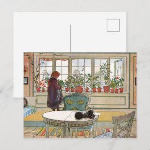 Vintage Cottagecore Botanical Window Flowers Postcard