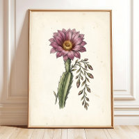 Vintage Cottagecore Cactus Art Print