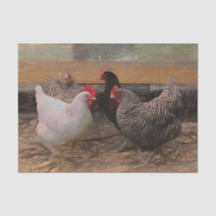 Vintage Country Barnyard Chicken Tissue Paper